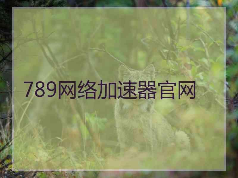 789网络加速器官网